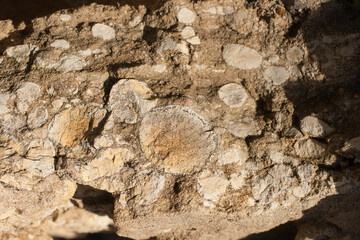 Concretions in volcanic rock with the presence of iron.
