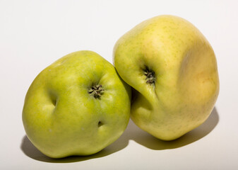 Ugly mutant apples. Fruits are yellow on a white background.  The relationship between two objects....