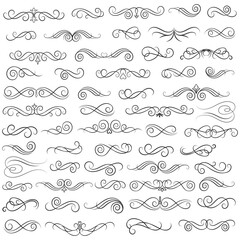 Fototapeta premium Vector graphic elements for design vector elements. Swirl elements decorative illustration. Classic calligraphy swirls, greeting cards, wedding invitations, royal certificates and graphic design.