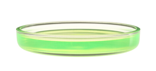 Petri dish with green liquid isolated on white