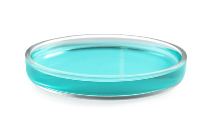 Petri dish with turquoise liquid isolated on white