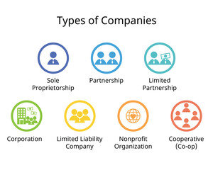 Types of companies or Business Structures such as sole Proprietorship, Partnership, Limited Partnership, Corporation, Limited Liability Company, NGO, Cooperative