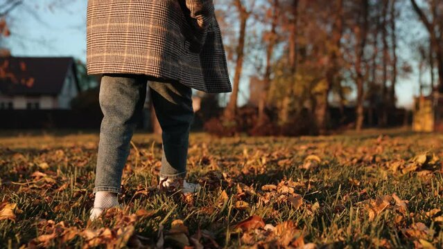 Child enjoys satisfying crunch of dry leaves beneath feet during walk in park