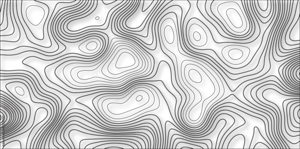 Poster topographic map white abstract background with contour lines. black and white abstract background ve