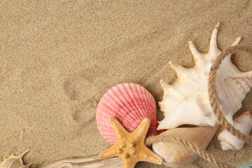 Fototapeta na wymiar Beautiful starfish, rope and sea shells on sand, flat lay. Space for text