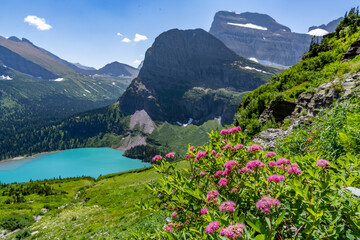 Subalpine spiraea wildflower growing on a slope above an alpine lake and mountains in the...