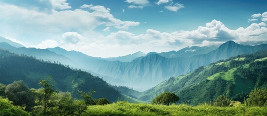 Fototapeta premium In the scenic landscape of Country, the lush green mountains adorned with towering trees and pine woods, stand as a testament to the natural wonders of the sky-kissed wilderness, inviting explorers to