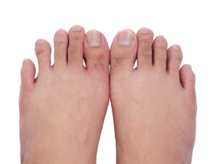 Top view of human feet, person toes, cut out isolated