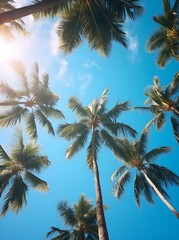 Palmeras en Verano en una Playa de México" (Palm trees in summer on a beach in Mexico