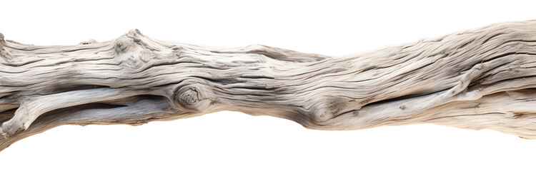 driftwood dead wood log beach desert - Powered by Adobe