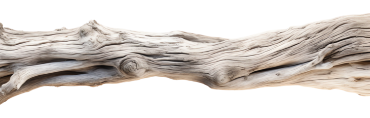 driftwood dead wood log beach desert