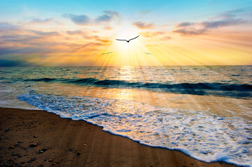 Divine Sunset Ocean Bird Flying Inspirational Uplifting Beautiful Spiritual Ethereal Hope...