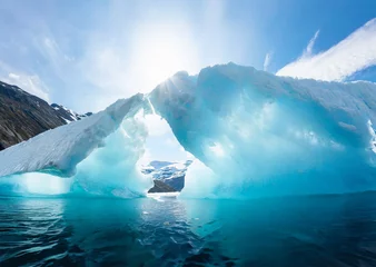 Papier Peint photo autocollant Antarctique The picture displays icebergs floating in the Antarctic Peninsula, Antarctica.These majestic ice formations contrast with the icy waters,creating a mesmerizing scene of polar beauty and natural wonder