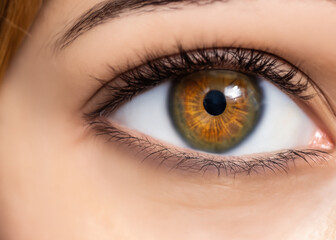 美しい白人女性のブラウンの瞳、虹彩、目のマクロ撮影　クローズアップ　AI生成画像