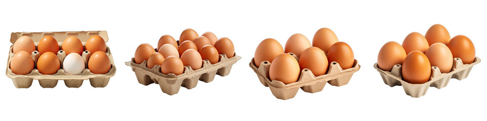 Eggs in carton Hyperrealistic Highly Detailed Isolated On Transparent Background Png File