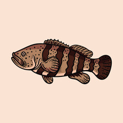 Grouper cartoon icon illustration