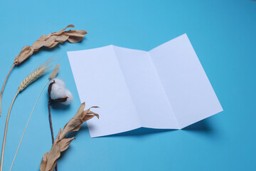 Composition of white blank flyer brochure mockup paper with dried plants and cotton flower on blue...