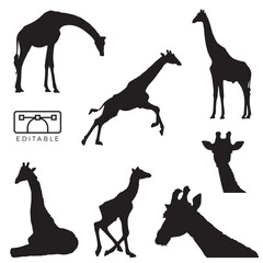 giraffe silhouette set - obrazy, fototapety, plakaty