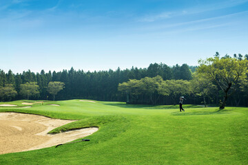 골프, 골프장, 스포츠, 벙커, 여가