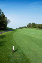 골프, 골프장, 스포츠, 벙커, 여가