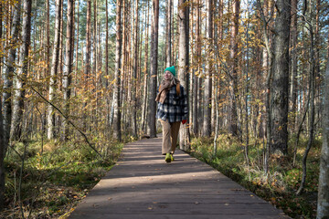 Obraz premium Woman tourist traveler walking on ecotrope in Scandinavian pine tree forest enjoying nature park. Relaxed middle aged female exploring woodland. Outdoor activity, tourism travel wanderlust concept.