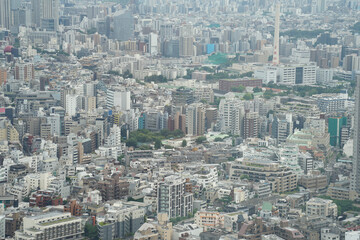 Obraz premium Scenery near Shibuya, Tokyo, Japan