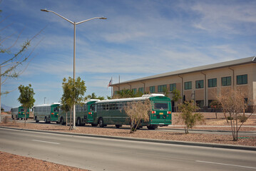 Green Buses Parked in Line