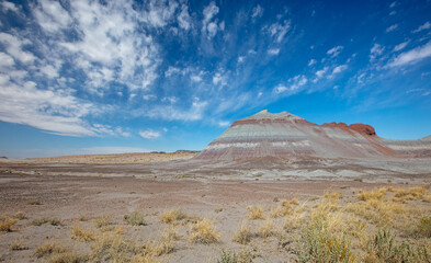 Fototapeta na wymiar Red and gray eroded desert landscape in Petrified Forest National Park in Arizona United States
