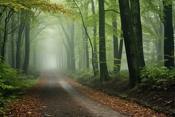 Papier Peint photo Olive verte vibrant captivating beauty of foggy forest, embodying natural tranquility, hidden paths, and whispers of woods that emerge when fog cloaks landscape