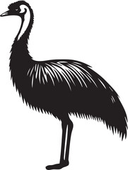 Emu Bird Vector 