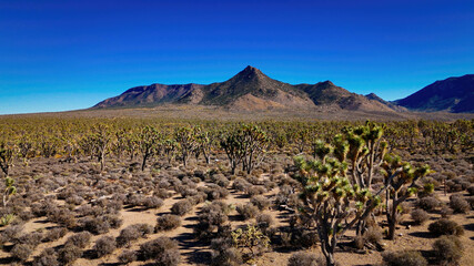 The wide rural landscape of the Arizona desert - aerial view from above - aerial photography