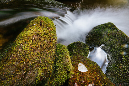Ice chips and moss on rocks near a waterfall in Linville Gorge, North Carolina