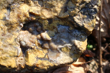 Patterns on wetted stone, flint with veins of quartz and chalcedony