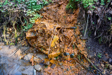 A ferruginous stream, stained in a rusty color, flowing along the ground