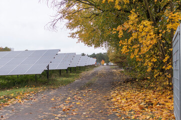 Ein Solarpark wird neu gebaut