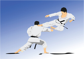 Oriental combat sports. Colored 3d vector illustration