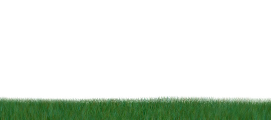Digital png illustration of grass with copy space on transparent background