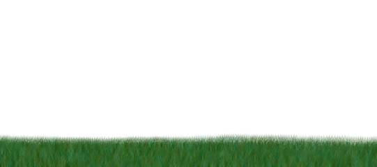 Digital png illustration of grass with copy space on transparent background