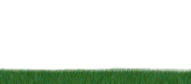 Digital png illustration of grass with copy space on transparent background