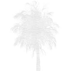 Digital png illustration of white palm tree on transparent background