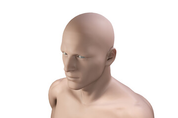 Digital png illustration of portrait of human silhouette on transparent background