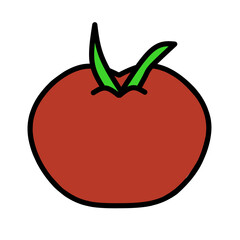Tomato illustration