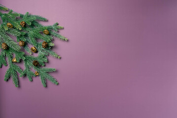 Christmas flat lay on a purple background with fir branch and pine cone