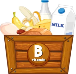 Fotobehang Kinderen Educational Group of Foods Containing Vitamin B