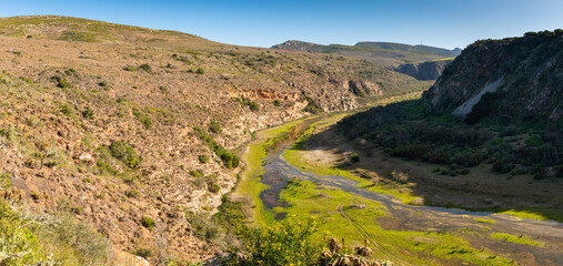 Gouritz river valley with aloes, Klein Karoo South Africa 