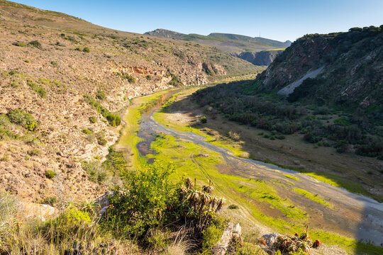 Gouritz river valley with aloes, Klein Karoo South Africa 