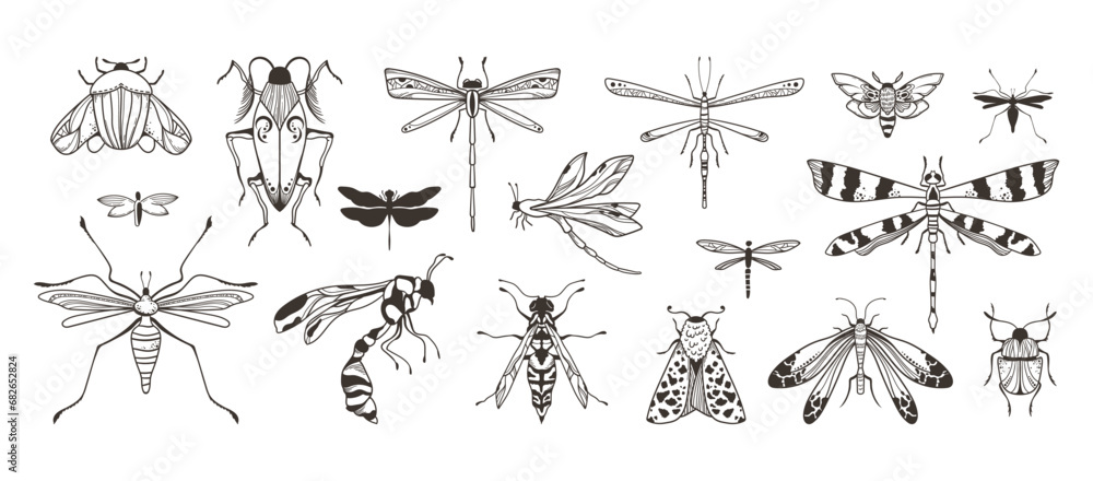 Wall mural black outline dragonfly, beetle, moth and butterfly clipart bundle, mystic ornamental black and whit