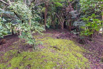Yamashirohofun (Yamashiro rectangular kofun tomb), a national historic site, in Matsue City, Shimane Prefecture, Japan