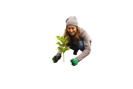 Happy female volunteer planting trees for growth. Ecology