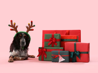 Cute cocker spaniel in reindeer horns with Christmas gifts on pink background